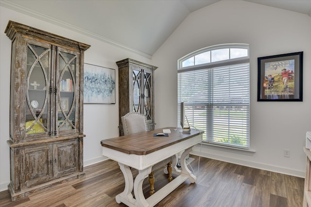 385 Bridle Path Rd, North Augusta, SC 29860 - home office featuring plenty of natural light, vaulted ceiling, and wood finished floors
