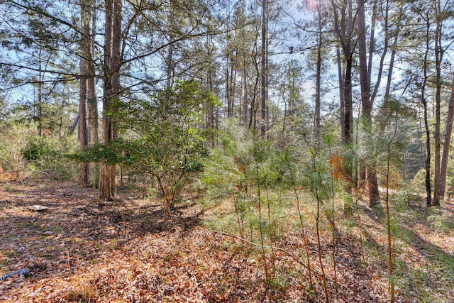 109 Driftwood Ln, Mccormick, SC 29835 - photo 27