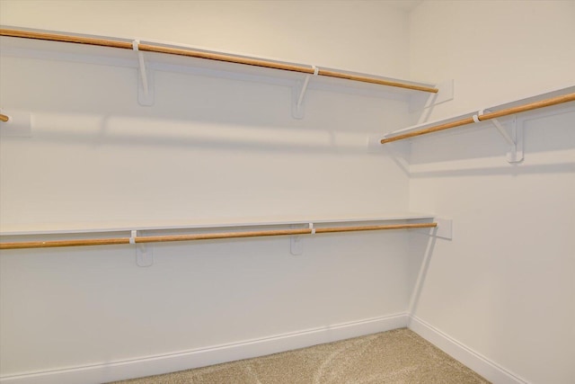 spacious closet featuring carpet flooring