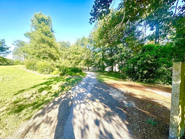 view of road