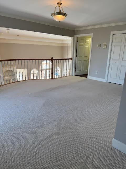 spare room featuring ornamental molding and carpet flooring