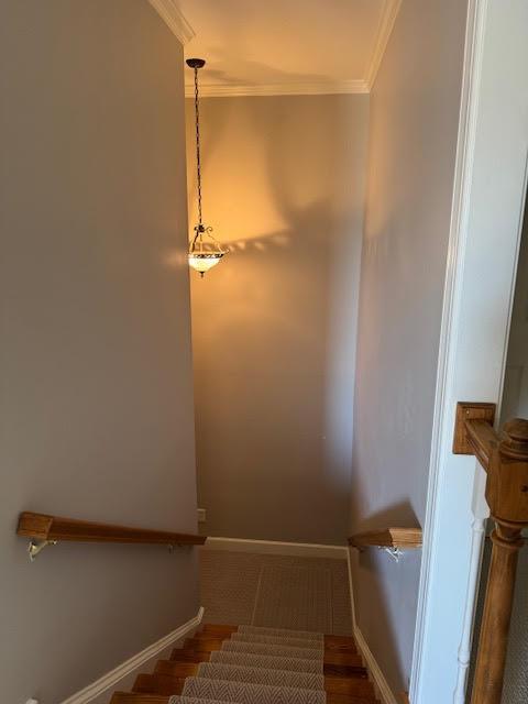 stairs with crown molding