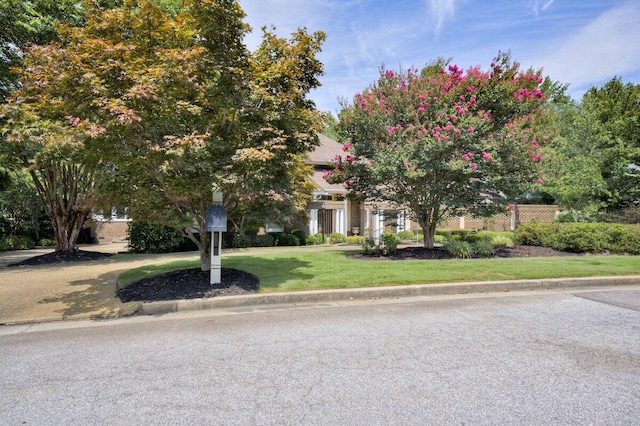 view of front of home with a front yard