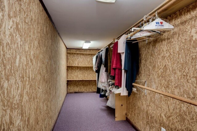 walk in closet featuring dark colored carpet