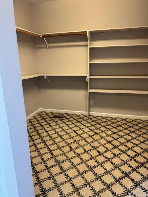 view of walk in closet