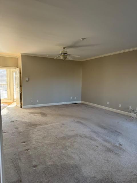 empty room featuring ornamental molding, carpet, and ceiling fan