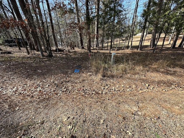 Listing photo 2 for 238 New Years Dr Lot 23, Mccormick SC 29835