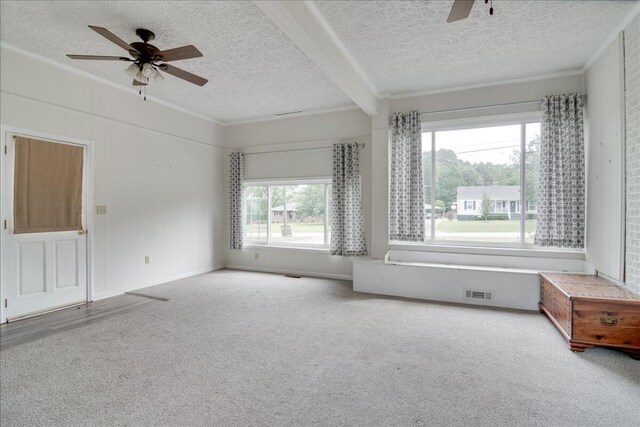 carpeted spare room featuring ceiling fan, a textured ceiling, and a wealth of natural light