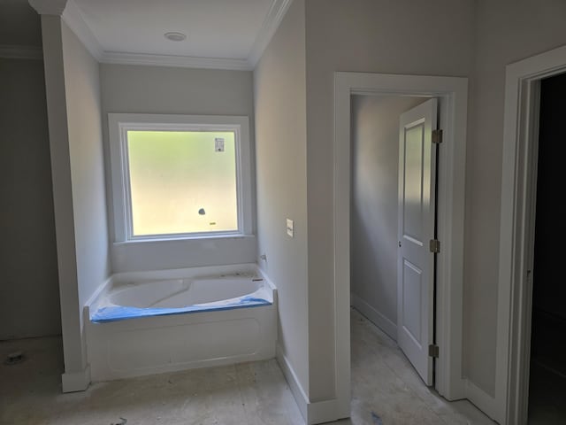 bathroom featuring a washtub and ornamental molding