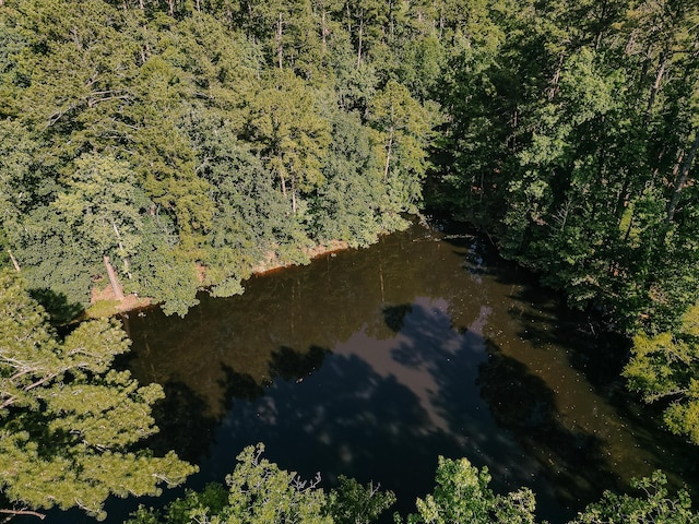 4823 Sharon Dr, Evans, GA 30809 - photo 14