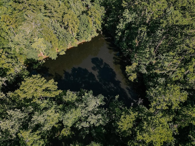 4823 Sharon Dr, Evans, GA 30809 - photo 16
