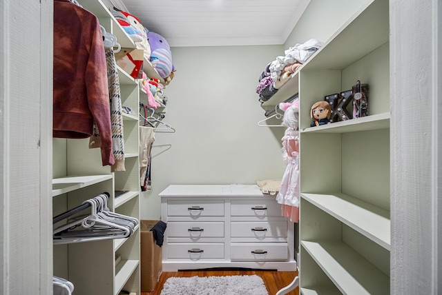 walk in closet featuring light hardwood / wood-style floors