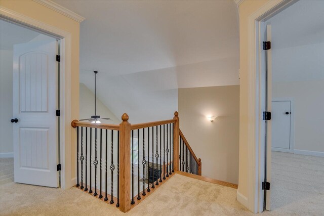 stairs with carpet, ceiling fan, and lofted ceiling