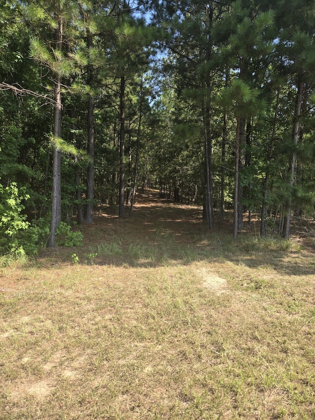 1282 Striper Cv, Tignall, GA 30817 - photo 5
