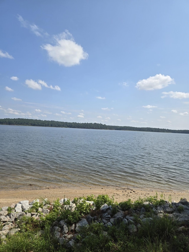 1282 Striper Cv, Tignall, GA 30817 - photo 3