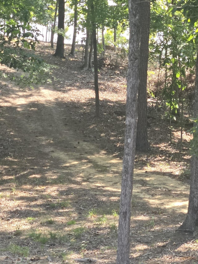 1282 Striper Cv, Tignall, GA 30817 - photo 10