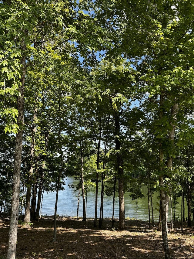 1282 Striper Cv, Tignall, GA 30817 - photo 16