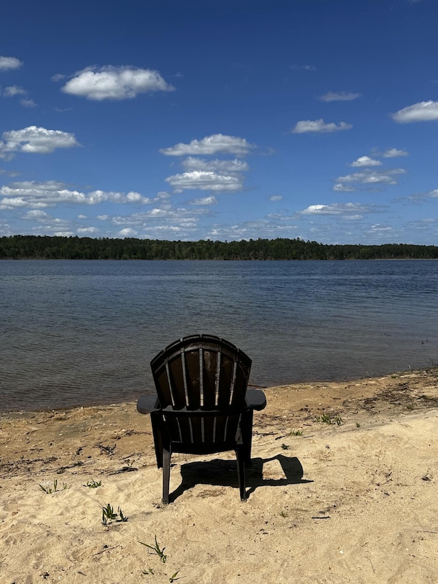 1282 Striper Cv, Tignall, GA 30817 - photo 17