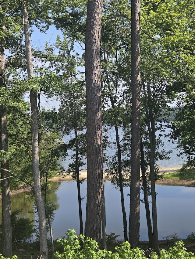 1282 Striper Cv, Tignall, GA 30817 - photo 2