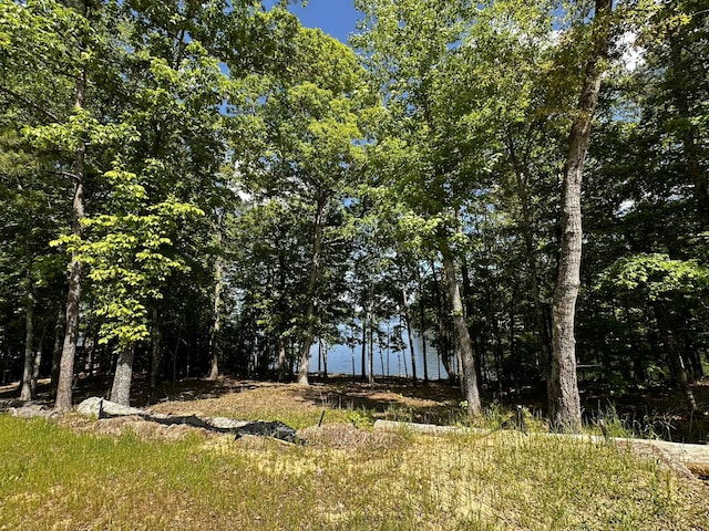 1282 Striper Cv, Tignall, GA 30817 - photo 14