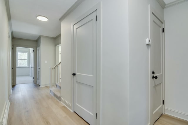 corridor featuring crown molding and light hardwood / wood-style floors