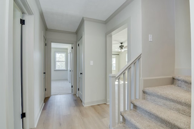 stairway featuring wood-type flooring and crown molding