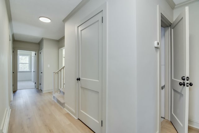 hallway with ornamental molding and light wood-type flooring