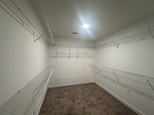 walk in closet with dark colored carpet