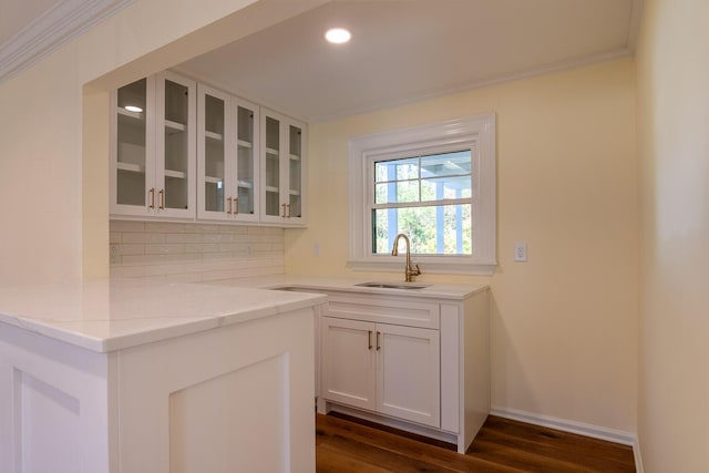 bar with tasteful backsplash, dark wood-style flooring, a sink, and crown molding