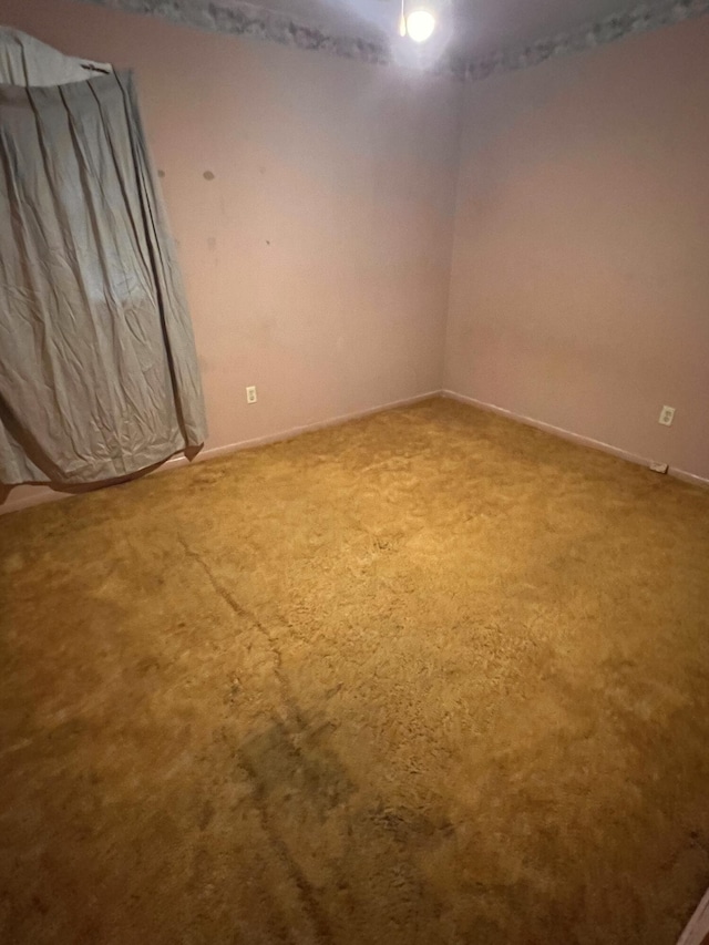 spare room featuring carpet