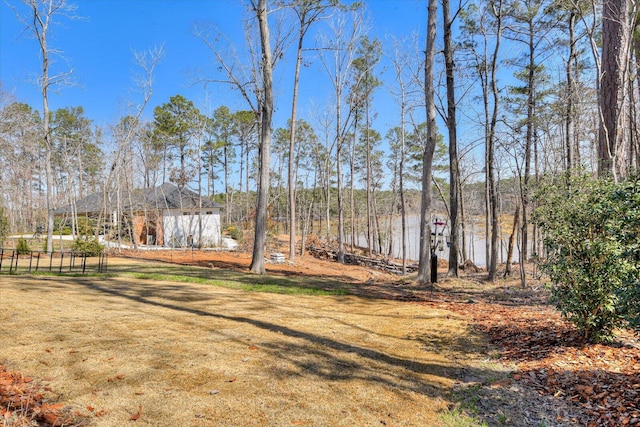 118 Bereau Dr, Mccormick, SC 29835 - view of yard