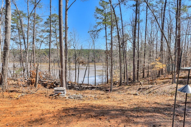 118 Bereau Dr, Mccormick, SC 29835 - water view