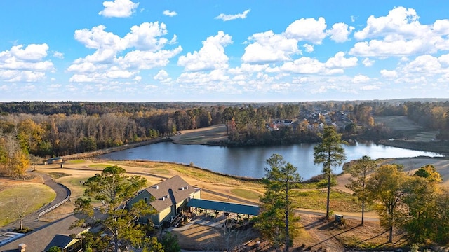 935 Raghorn Rd, Grovetown, GA 30813 - photo 44