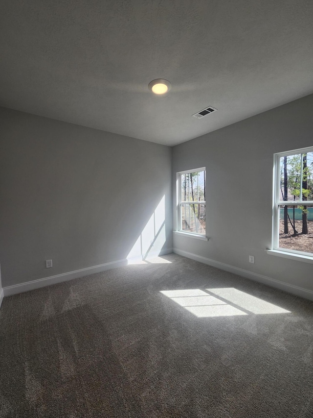 empty room with carpet floors, visible vents, and plenty of natural light