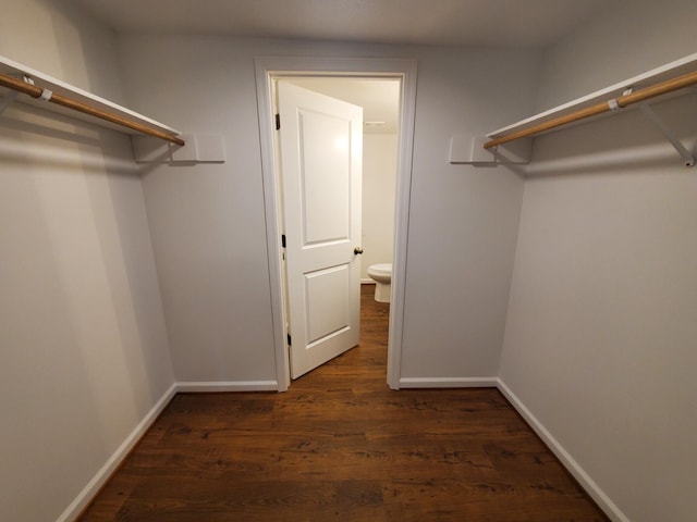 walk in closet featuring dark hardwood / wood-style floors