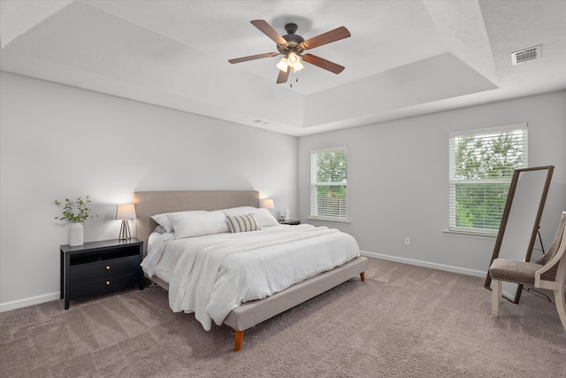 4894 Fairmont Dr, Graniteville, SC 29829 - bedroom featuring a tray ceiling, carpet, and baseboards