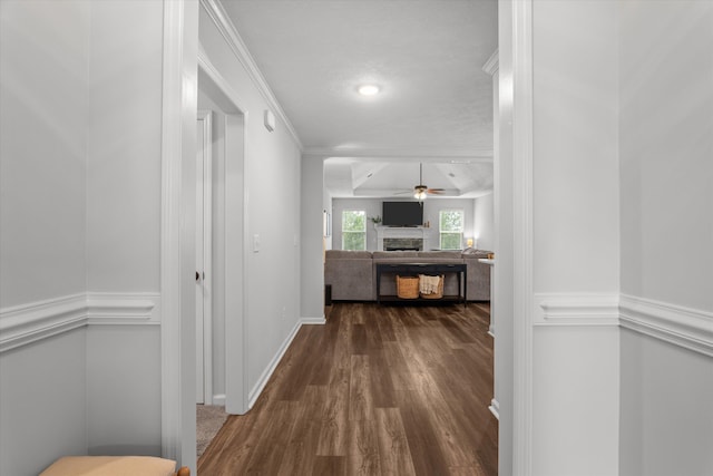 4894 Fairmont Dr, Graniteville, SC 29829 - hall featuring dark wood finished floors, baseboards, and ornamental molding