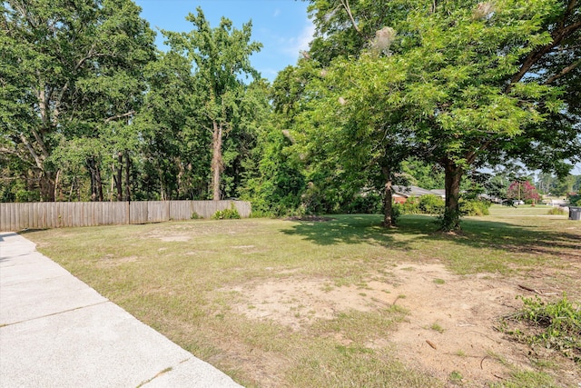 464 Rachel Dr, Evans, GA 30809 - view of yard