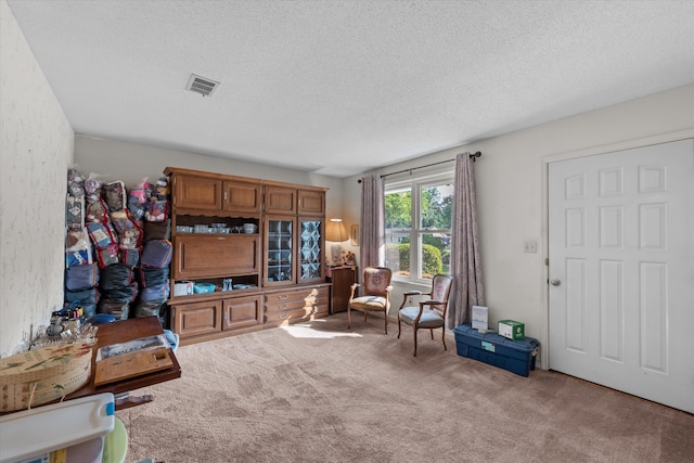 464 Rachel Dr, Evans, GA 30809 - sitting room featuring carpet floors and a textured ceiling