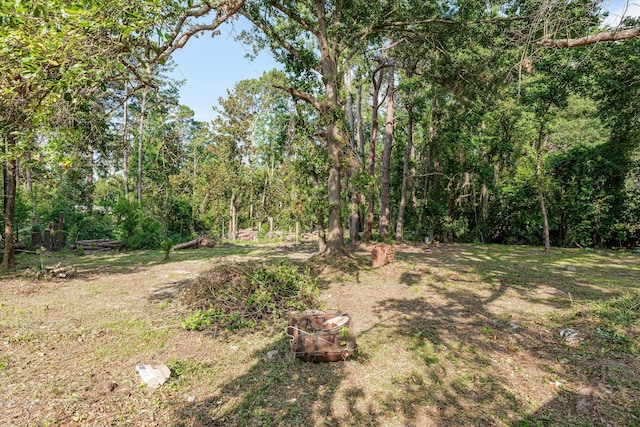 464 Rachel Dr, Evans, GA 30809 - view of yard with a view of trees