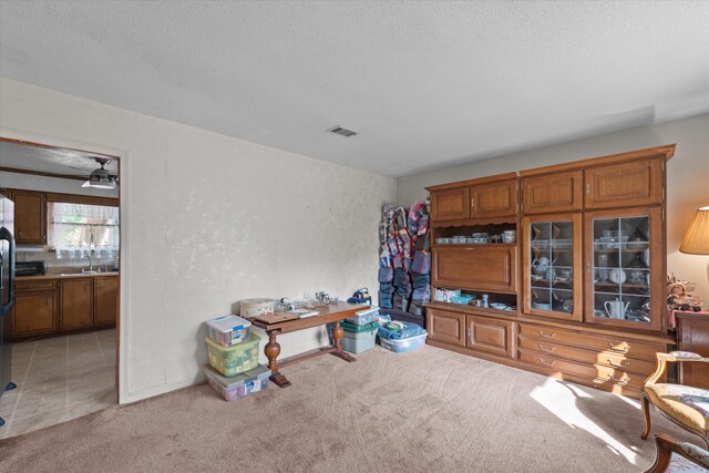 464 Rachel Dr, Evans, GA 30809 - living room with light carpet and a textured ceiling