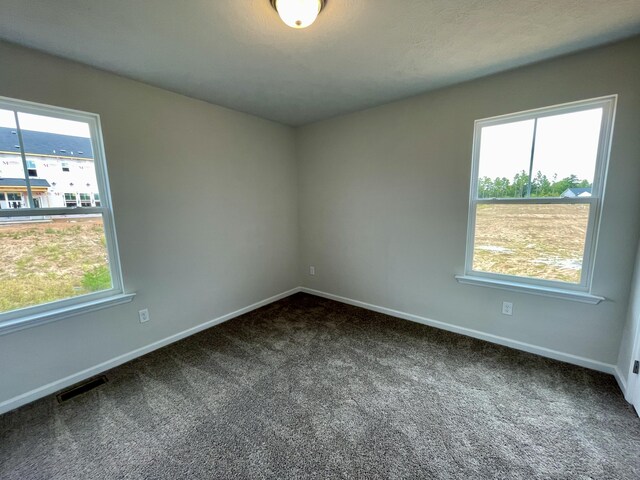 spare room with carpet floors and a healthy amount of sunlight