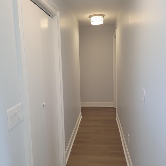 3597 Parliament Pl, Martinez, GA 30907 - hall featuring dark wood finished floors and baseboards