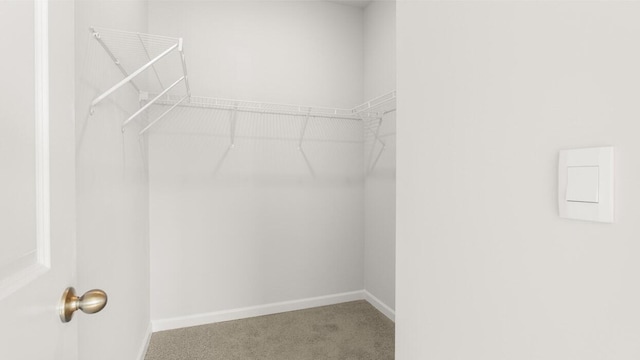 spacious closet with carpet