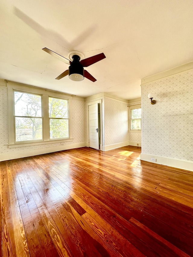 empty room featuring ceiling fan and light hardwood / wood-style flooring