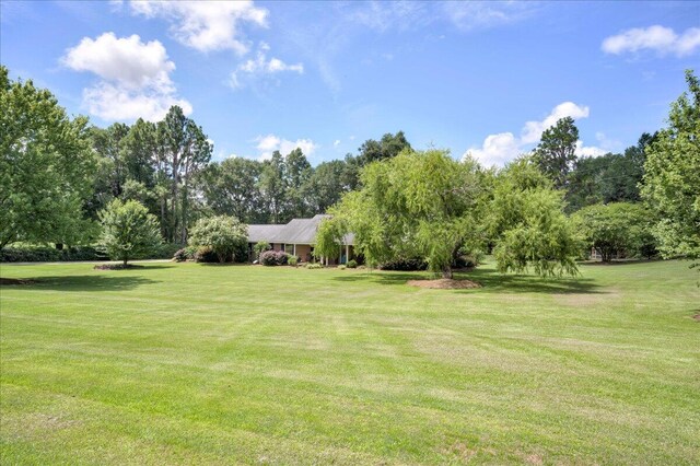 6192 S Ga Highway 23, Waynesboro, GA 30830 - photo 49