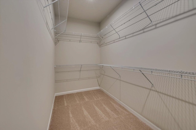 spacious closet featuring light colored carpet
