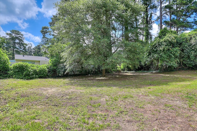2426 Dickey Rd, Augusta, GA 30906 - view of yard