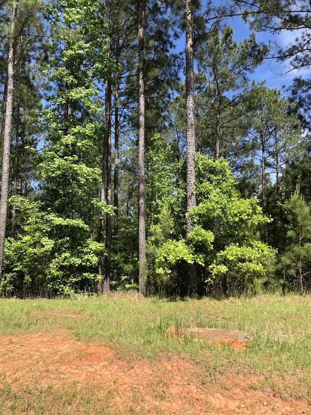 LOT3C Lighthouse Pt, Lincolnton, GA 30817 - photo 1