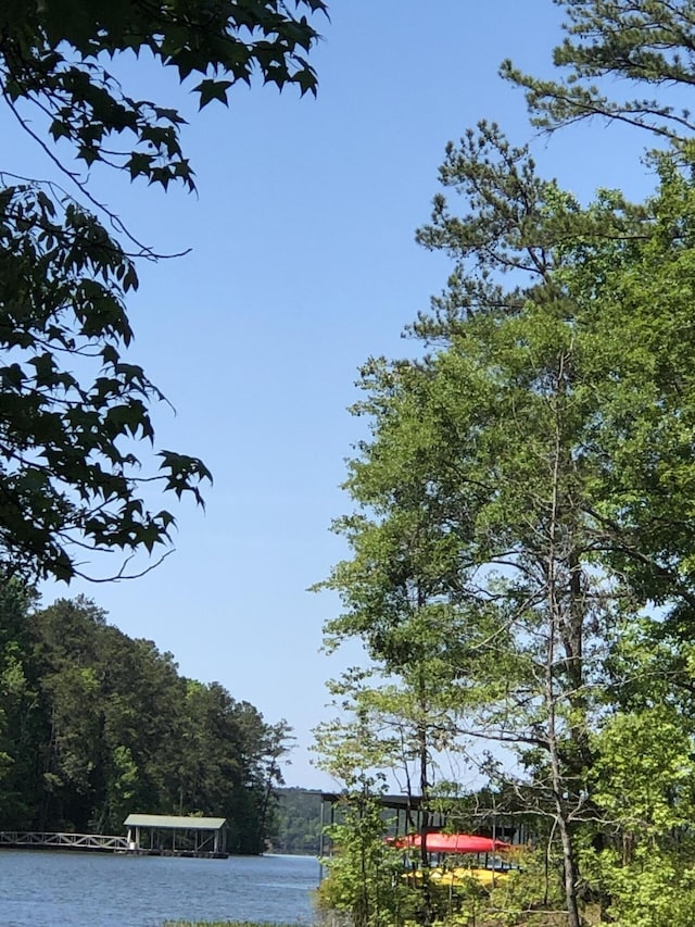 LOT3C Lighthouse Pt, Lincolnton, GA 30817 - photo 3